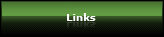 Scanning links