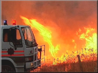 CFS appliance assists at a wildfire